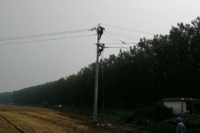 泗洪供電公司對陳圩10千伏陳西166線進(jìn)行線路改造