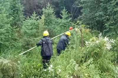 過泥濘，涉洪水，穿山谷，冒雨巡線護電，第一時間處理災情險情