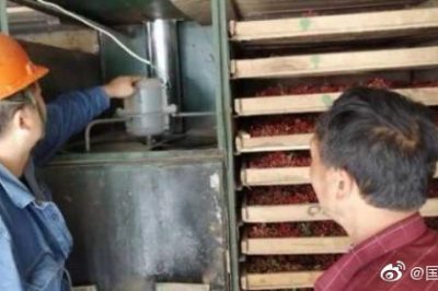 鳳縣供電公司義務花椒種植戶漏電保護器、室內(nèi)線路等用電設(shè)備
