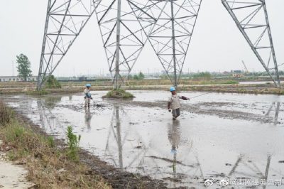 架設(shè)線路、安裝電纜引下線，解決農(nóng)民秸稈焚燒問(wèn)題