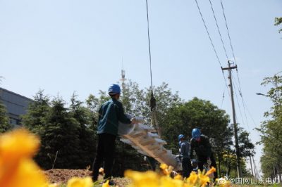 110千伏石虎站10千伏南潘線招辛線雙回架設(shè)施工現(xiàn)場(chǎng)