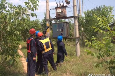 10千伏洛平513線路開展雨后特巡，力保供電可靠