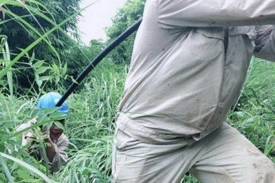 南川區(qū)供電公司緊急搶修被雷擊斷落在路上的10千伏鋒秧線8-10號桿A、C相