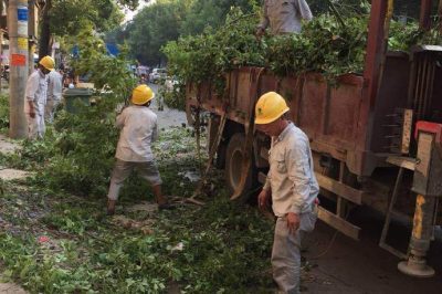 祁陽縣供電公司通宵未眠完成10千伏黎城I線進行砍青作業(yè)