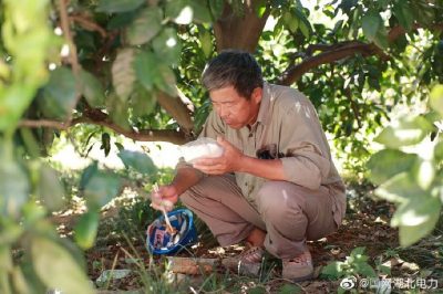 全速搶修被風災(zāi)折彎的35千伏宏發(fā)紙業(yè)線30-34號鐵塔