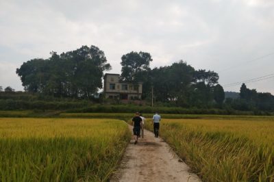 武岡市供電公司對兄弟單位開展扶貧領(lǐng)域?qū)ｍ?xiàng)監(jiān)督檢查