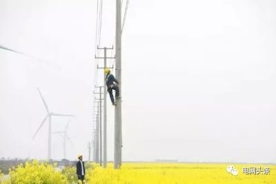 14億人全民通電如何做到的？18根電桿為1戶供電，100年無法回本