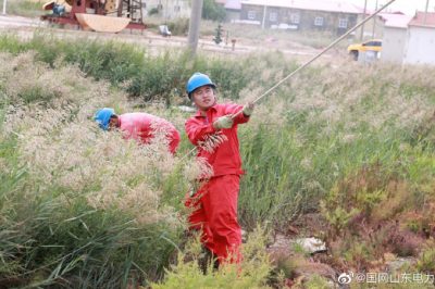 東營區(qū)供電公司110千伏大學(xué)站10千伏孫家線電桿進行檢修消缺