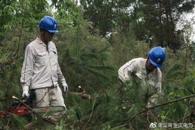 綦南供電公司對(duì)供電轄區(qū)10千伏壩扶線電力通道進(jìn)行樹障砍伐清理