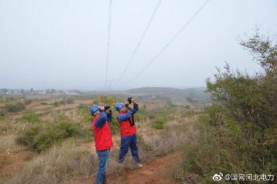 元氏縣供電公司巡視500千伏線路  清理樹(shù)障
