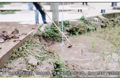 揭秘電線(xiàn)桿之如何豎立