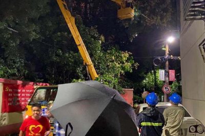 無懼大風(fēng)，連夜搶修供電線路