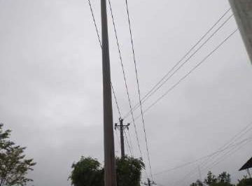 暴雨致電桿歪斜，供電員工搶修扶正
