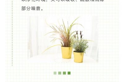 家里冰箱洗衣機(jī)噪音越來(lái)越大？讓它們安靜下來(lái)很簡(jiǎn)單！