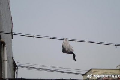 你的隨手一“拋”，可能導(dǎo)致跳閘停電！