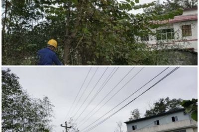 對10千伏禾臘線消水坨臺區(qū)、石家寨臺區(qū)進行巡視
