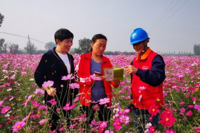 對(duì)玉山店村百畝格?；ㄋ诰€路進(jìn)行全方位的巡視排查
