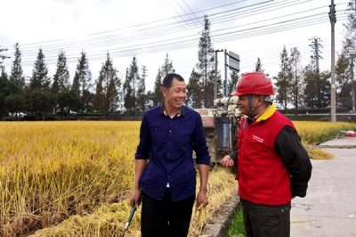 對涉農(nóng)電氣設備、線路進行特維特巡