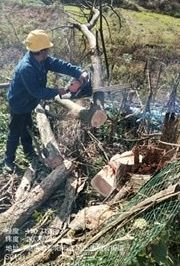 10千伏法高線新澤村火巖上臺區(qū)進(jìn)行低壓線路砍青掃障工作