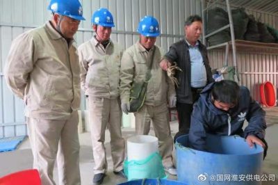 經(jīng)現(xiàn)場檢查為插排電線破損漏電引起家用保護(hù)器動作停電