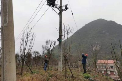 農(nóng)電檢修人員對(duì)小石線、高石線等10千伏線路進(jìn)行集中巡視測(cè)溫