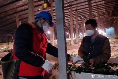 為果蔬大棚檢查供電線路、開(kāi)關(guān)、照明燈具，以及水泵、卷簾機(jī)等設(shè)備